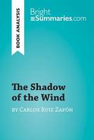 The Shadow of the Wind by Carlos Ruiz Zafón (Book Analysis), Detailed Summary, Analysis and Reading Guide