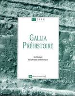 Gallia préhistoire-42-2000