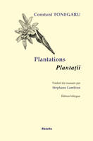 Plantations / Plantatii