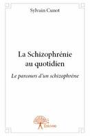 La Schizophrénie au quotidien, Le parcours d'un schizophrène