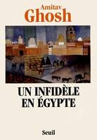 Un infidèle en Egypte, récit