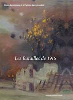 LES BATAILLES DE 1916, [colloque international, université paris-sorbonne et sénat, paris, 22-24 juin 2016]