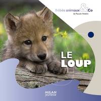 BEBES ANIMAUX & CO - LE LOUP