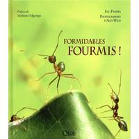 Formidables fourmis !, Un peuple conquérant