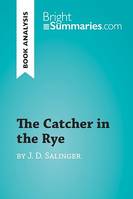 The Catcher in the Rye by J. D. Salinger (Book Analysis), Detailed Summary, Analysis and Reading Guide