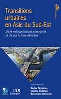 Transitions urbaines en Asie du Sud-Est, De la métropolisation émergente et de ses formes dérivées