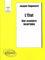 L'Etat - Une aventure incertaine, une aventure incertaine