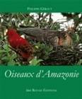 Oiseaux d'Amazonie