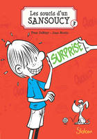 3, Les soucis d'un sansoucy - tome 3 Surprise