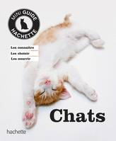 Chat