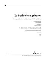 Zu Bethlehem geboren, Eine Auswahl bekannter Advents- und Weihnachtslieder in Sätzen von Hilger Schallehn. various options for instrumentation.