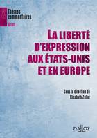 La liberté d'expression aux États-Unis et en Europe, Thèmes et commentaires