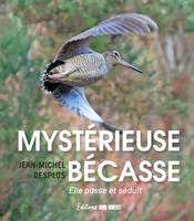 Mystérieuse bécasse, Elle passe et séduit