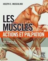 Les muscles : actions et palpation, actions et palpation