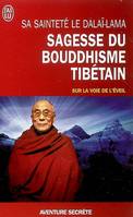 Sagesse du bouddhisme tibétain, PRECEDEMMENT 