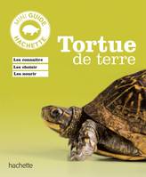 Tortue de terre