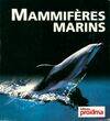 Mammifères marins