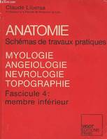 Myologie, angéiologie, névrologie, topographie, Membre inférieur