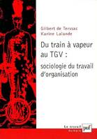 Du train a vapeur au tgv, sociologie du travail d'organisation