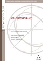 Contrats publics, Contraintes et enjeux