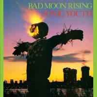 Bad Moon Rising/coupon Mp3 Inclus