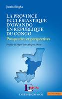 La province ecclésiastique d'Owando en République du Congo, Prospective et perspectives