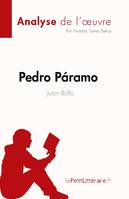 Pedro Páramo de Juan Rulfo (Analyse de l'oeuvre), Résumé complet et analyse détaillée de l'oeuvre