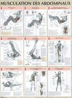 Musculation des abdominaux planche plastifiée