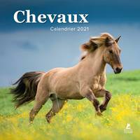 Chevaux - Calendrier 2021