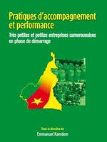 Pratiques d'accompagnement et performance, Très petites et petites entreprises camerounaises en phase de démarrage