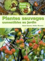 Plantes sauvages comestibles au jardin