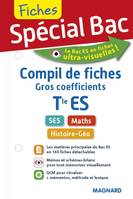 Spécial Bac Compil de Fiches gros coefficients Tle ES