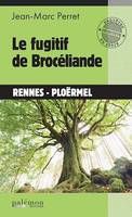 Le fugitif de Brocéliande, Un thriller palpitant