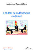 Les défis de la démocratie en Guinée