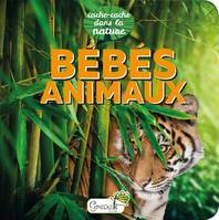 Cache-cache dans la nature, Bébés animaux