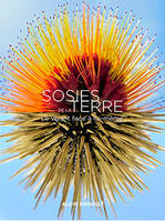 Sosies de la terre