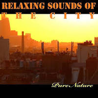 Musique Relaxante De La Ville - Pure Nature