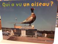 Qui a vu ?, Qui A Vu Un Oiseau ?