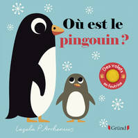 Des volets en feutrine, OU EST LE PINGOUIN ?