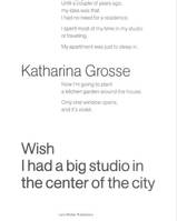 Katharina Grosse Wish I Had a Big Studio in the Center of the City /anglais