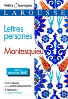 Lettres persanes (Spécial Bac), Roman épistolaire