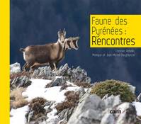 Faune des Pyrénées, Rencontres