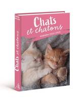 Agenda Chats et chatons 2024-2025