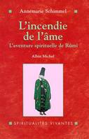 L'Incendie de l'âme, L'aventure spirituelle de Rûmî