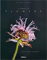 A Tribute to Flowers /anglais