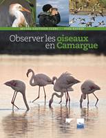 Oiseaux Observer les oiseaux en Camargue