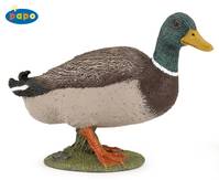 Canard colvert