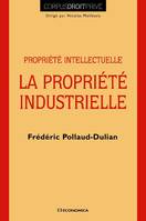 La propriété industrielle - propriété intellectuelle, propriété intellectuelle