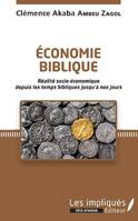 Économie biblique, Réalité socio-économique depuis les temps bibliques jusqu'à nos jours