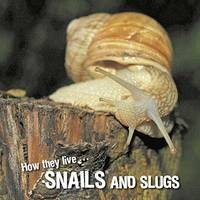How they live... Snails and Slugs, Learn All There Is to Know About These Animals!
